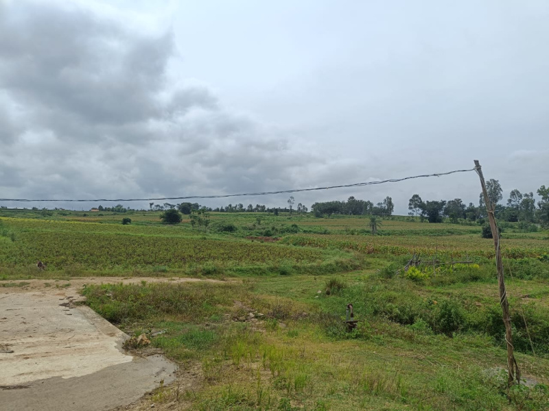  Residential Plot 19 Ares for Sale in Arkalgud, Hassan