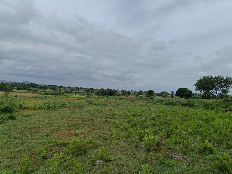  Residential Plot 19 Ares for Sale in Arkalgud, Hassan