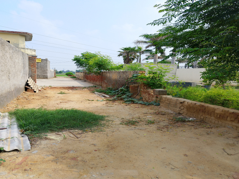  Residential Plot 1300 Sq. Yards for Sale in Sarinh, Ludhiana