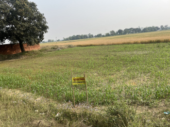  Commercial Land for Sale in Partawal, Maharajganj