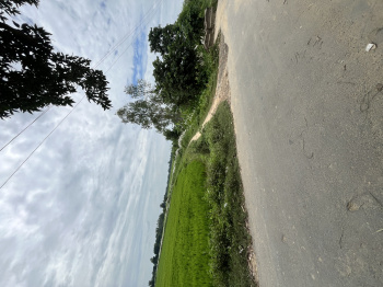  Commercial Land for Sale in Pharenda Road, Mahrajganj