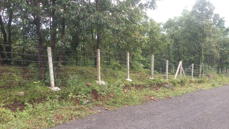  Agricultural Land 21780 Sq.ft. for Sale in Sudhagad, Raigad