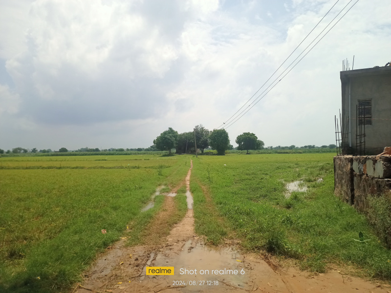  Agricultural Land 50 Acre for Sale in Bawal, Rewari