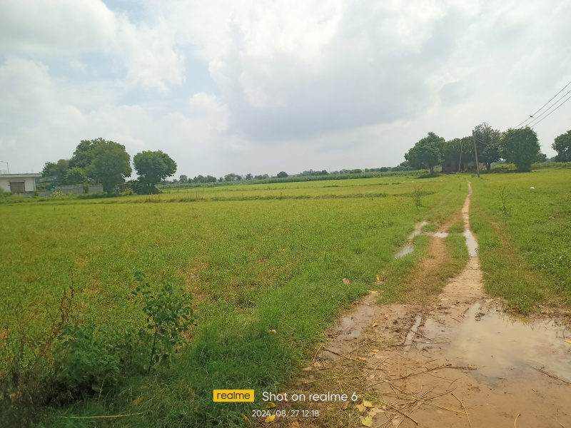  Agricultural Land 50 Acre for Sale in Bawal, Rewari