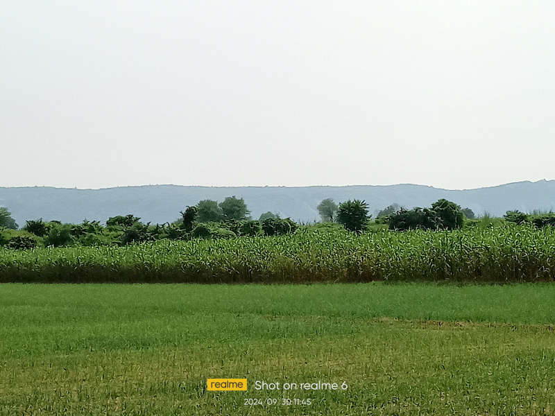  Agricultural Land 3 Bigha for Sale in Alwar Bypass Road, Bhiwadi