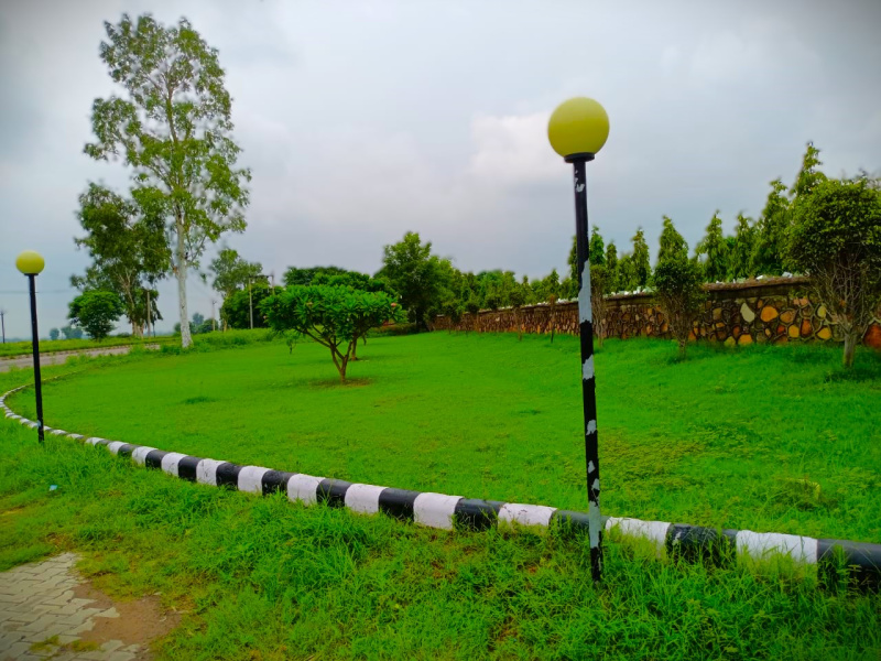  100 Sq. Yards Residential Plot for Sale in Alwar Bypass Road, Bhiwadi