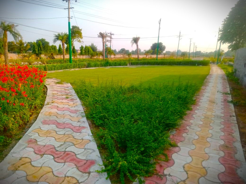  108 Sq. Yards Residential Plot for Sale in Alwar Bypass Road, Bhiwadi