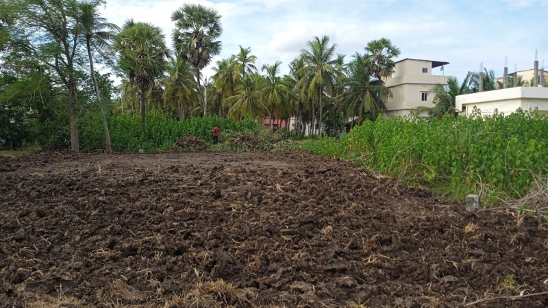  Residential Plot 12 Cent for Sale in Amalapuram, East Godavari