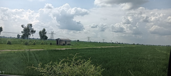  Residential Plot for Sale in Yamuna Expressway, Greater Noida