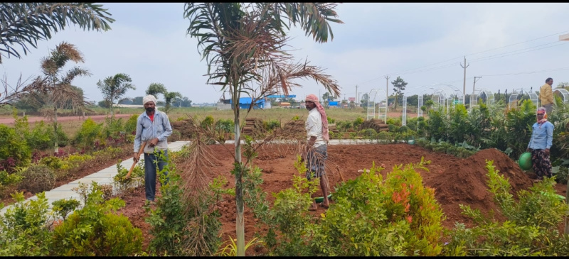  Residential Plot 200 Sq. Yards for Sale in Sadasivpet, Sangareddy