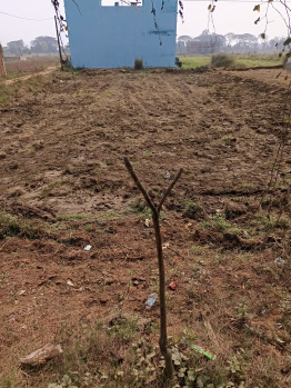  Commercial Land for Sale in Khalikote, Ganjam