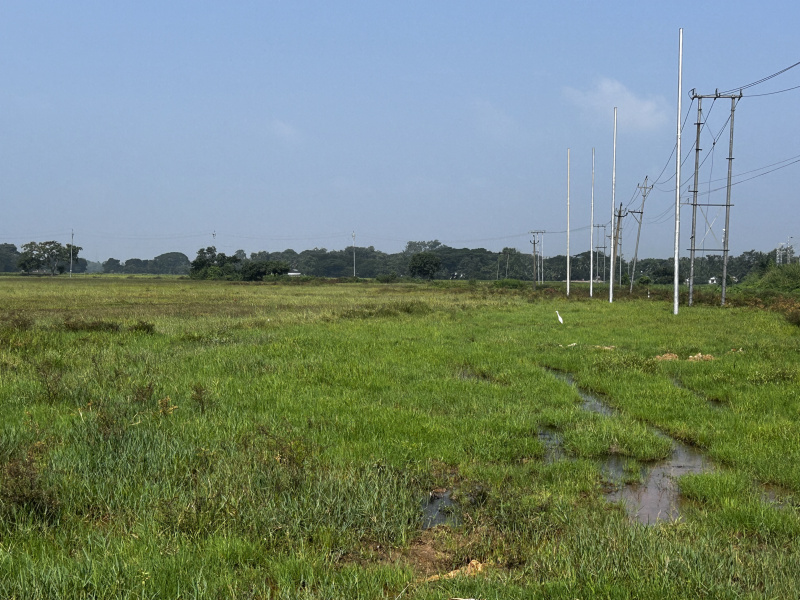  Agricultural Land 19000 Sq.ft. for Sale in Changsari, Guwahati