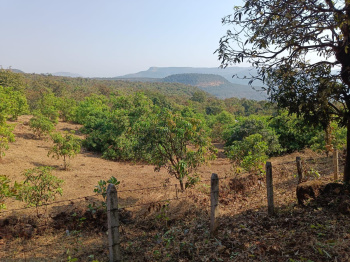  Agricultural Land for Sale in Mhasla, Raigad