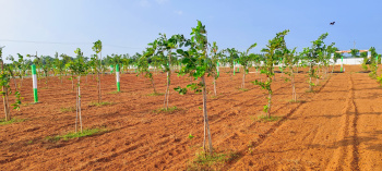  Agricultural Land for Sale in Marakkanam, Chennai