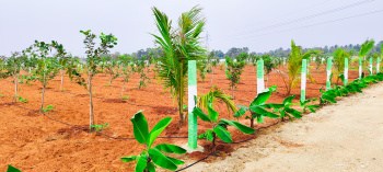  Agricultural Land for Sale in Ecr To Marakanam Road, Chennai