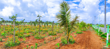  Agricultural Land for Sale in East Coast Road, Chennai