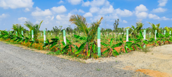  Agricultural Land for Sale in Ecr To Marakanam Road, Chennai