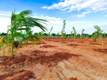  Agricultural Land for Sale in Kovalam, Chennai