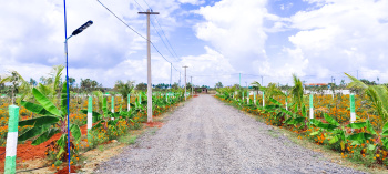  Agricultural Land for Sale in East Coast Road, Pondicherry