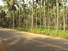  Commercial Land for Sale in Chelapram, Kozhikode
