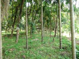  Commercial Land for Sale in Calicut, Kozhikode