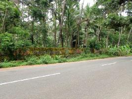  Residential Plot for Sale in Calicut, Kozhikode