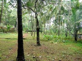  Residential Plot for Sale in Calicut, Kozhikode