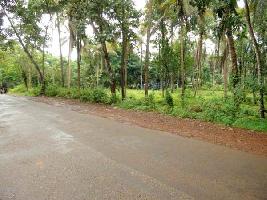  Commercial Land for Sale in Kunduparamba, Kozhikode
