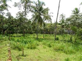  Residential Plot for Sale in Ashokapuram, Kozhikode