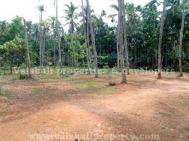 Residential Plot for Sale in Mayanad, Kozhikode