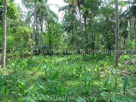  Residential Plot for Sale in Eranhipalam, Kozhikode