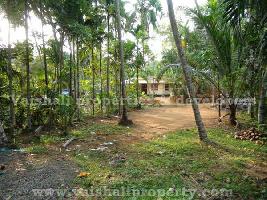  Residential Plot for Sale in Areekkad, Kozhikode