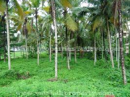  Commercial Land for Sale in Malaparambe, Kozhikode