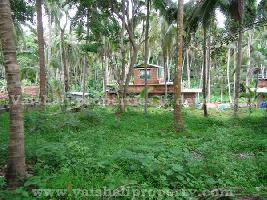  Residential Plot for Sale in Payyoli, Kozhikode