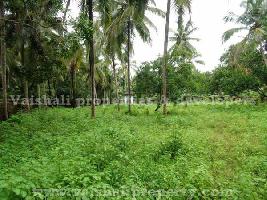  Residential Plot for Sale in Kunnamangalam, Kozhikode