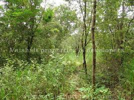  Agricultural Land for Rent in Kunnamangalam, Kozhikode