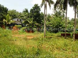  Residential Plot for Sale in Calicut, Kozhikode