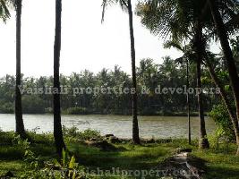  Commercial Land for Sale in Ummalathoor, Kozhikode