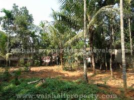  Residential Plot for Sale in Chathamangalam, Kozhikode
