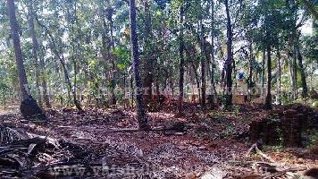  Residential Plot for Sale in Karanthur, Kozhikode