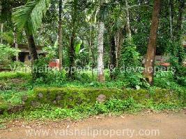  Residential Plot for Sale in Palakkada, Kozhikode
