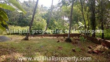  Residential Plot for Sale in Paroppady, Kozhikode
