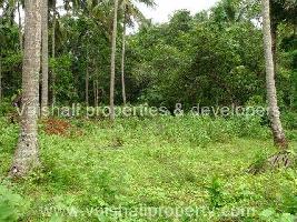  Residential Plot for Sale in Chelavoor, Kozhikode