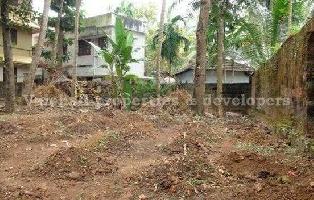 Residential Plot for Sale in Pavangad, Kozhikode