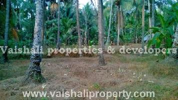 Commercial Land for Sale in Nanminda, Kozhikode