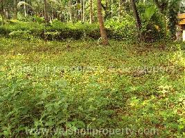  Residential Plot for Sale in Calicut, Kozhikode