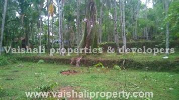  Residential Plot for Sale in Calicut, Kozhikode