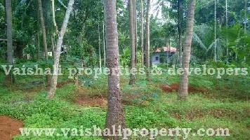  Residential Plot for Sale in Calicut, Kozhikode