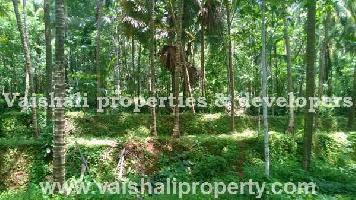  Residential Plot for Sale in Calicut, Kozhikode