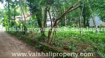  Residential Plot for Sale in Chevarambalam, Kozhikode